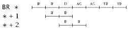 0313-01.gif